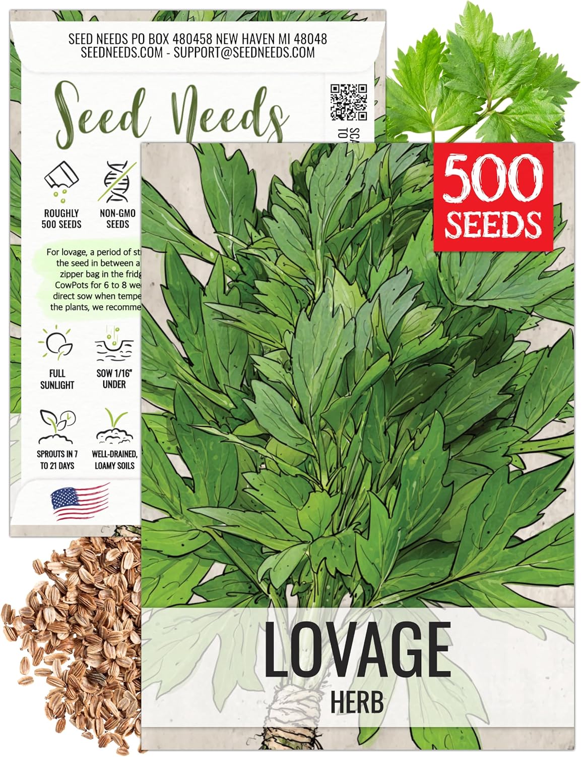 (1 Pack) Seed Needs Lovage Seeds for Planting - Non-GMO Heirloom & Untreated Herbs to Plant a Medicinal/Culinary Home