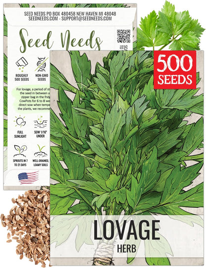 (1 Pack) Seed Needs Lovage Seeds for Planting - Non-GMO Heirloom & Untreated Herbs to Plant a Medicinal/Culinary Home