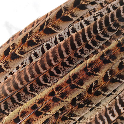 20pcs Female Pheasant Feather Natural Ringneck Tails Feathers 12-14inch 30-35cm for Crafts Home Wedding Party Performance DIY Decoration Pheasant Feather,Female Pheasant Feathers