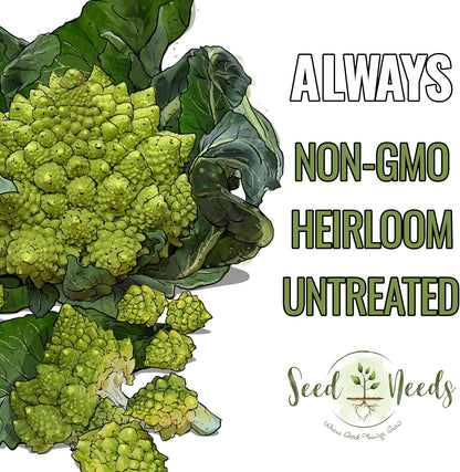 (1 Pack) Seed Needs Cauliflower Seeds for Planting Romanesco Broccoli/Cauliflowers - Non-GMO Heirloom & Untreated