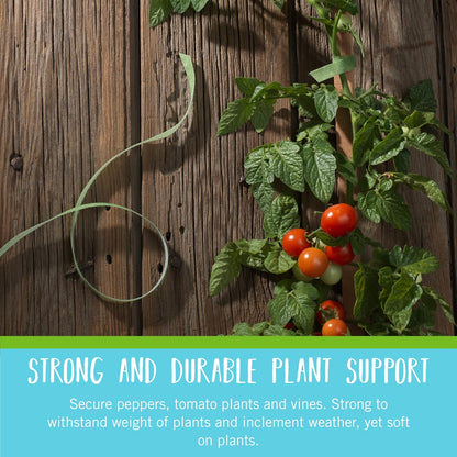 VELCRO Brand Garden Ties - Reusable Plant Supports for Effective Growing | 50 ft x 1/2 in, Green-Recycled Plastic