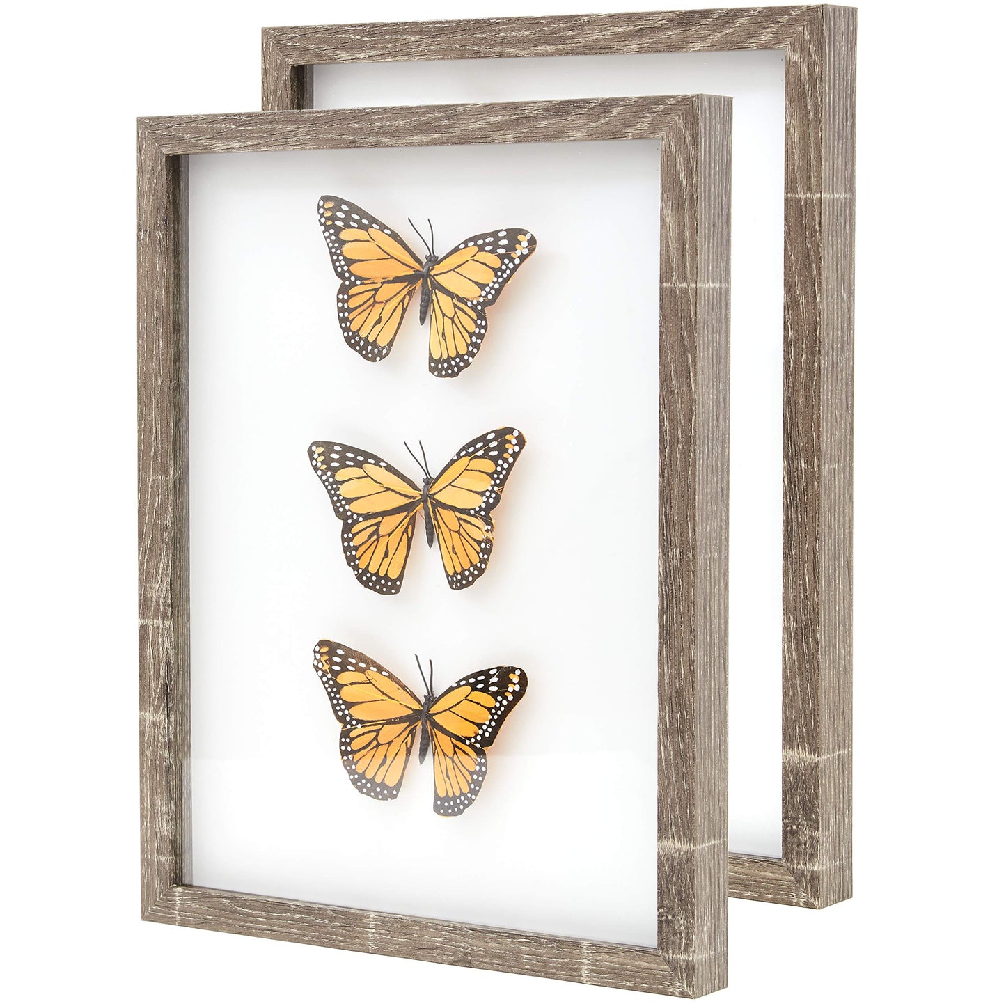 Super-Sturdy, 11x14 Gray Shadow Box Frame With Glass 2pk. Fill Large Rustic Wood Memory Box With Wedding Flowers, Jerseys, Pet Photos, Ticket Stubs, or Medals. Great Seashell Display Case