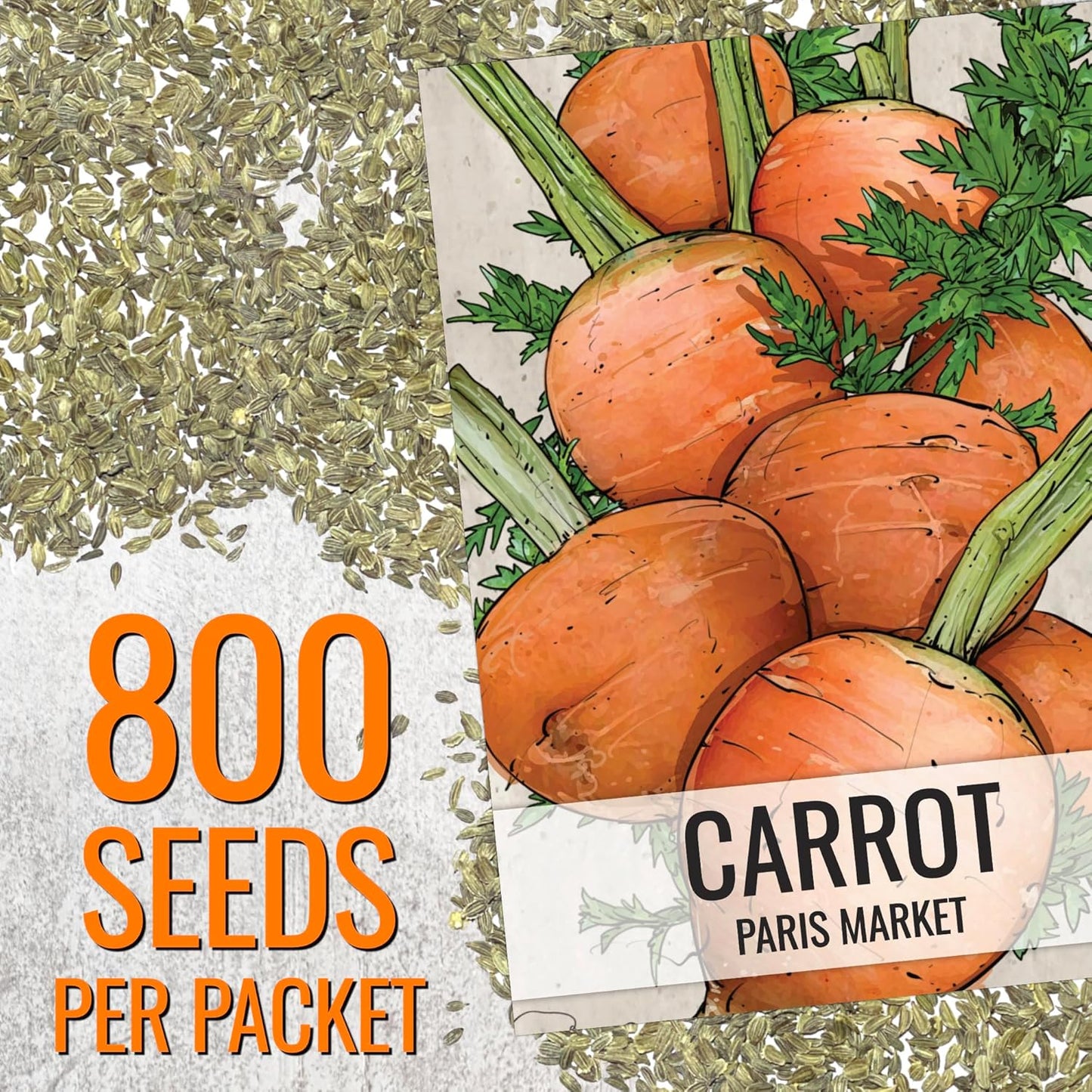 (5 Packs) Seed Needs Carrot Seeds for Planting Paris Market Carrots - Non-GMO Heirloom & Untreated Annual Cool Weather
