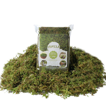 USMOLA Fake Moss, 8 OZ Green Moss for Potted Plants, Artificial Moss for DIY Crafts Home Decor Table Centerpieces Wedding Decoration (Fresh Green 225gr)