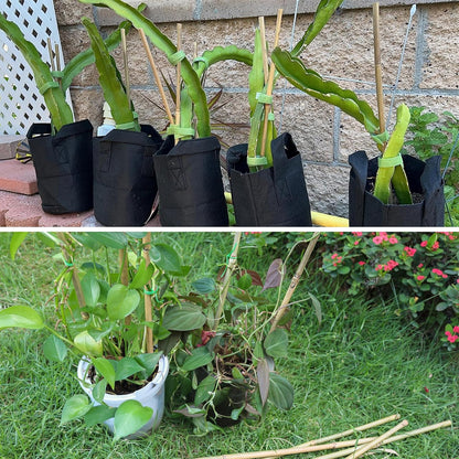 Bamboo Plant Stakes - 50 Pcs 2ft Garden Support Sticks for Indoor/Outdoor Plants | Ideal for Tomatoes, Vegetables, and Climbing Plants