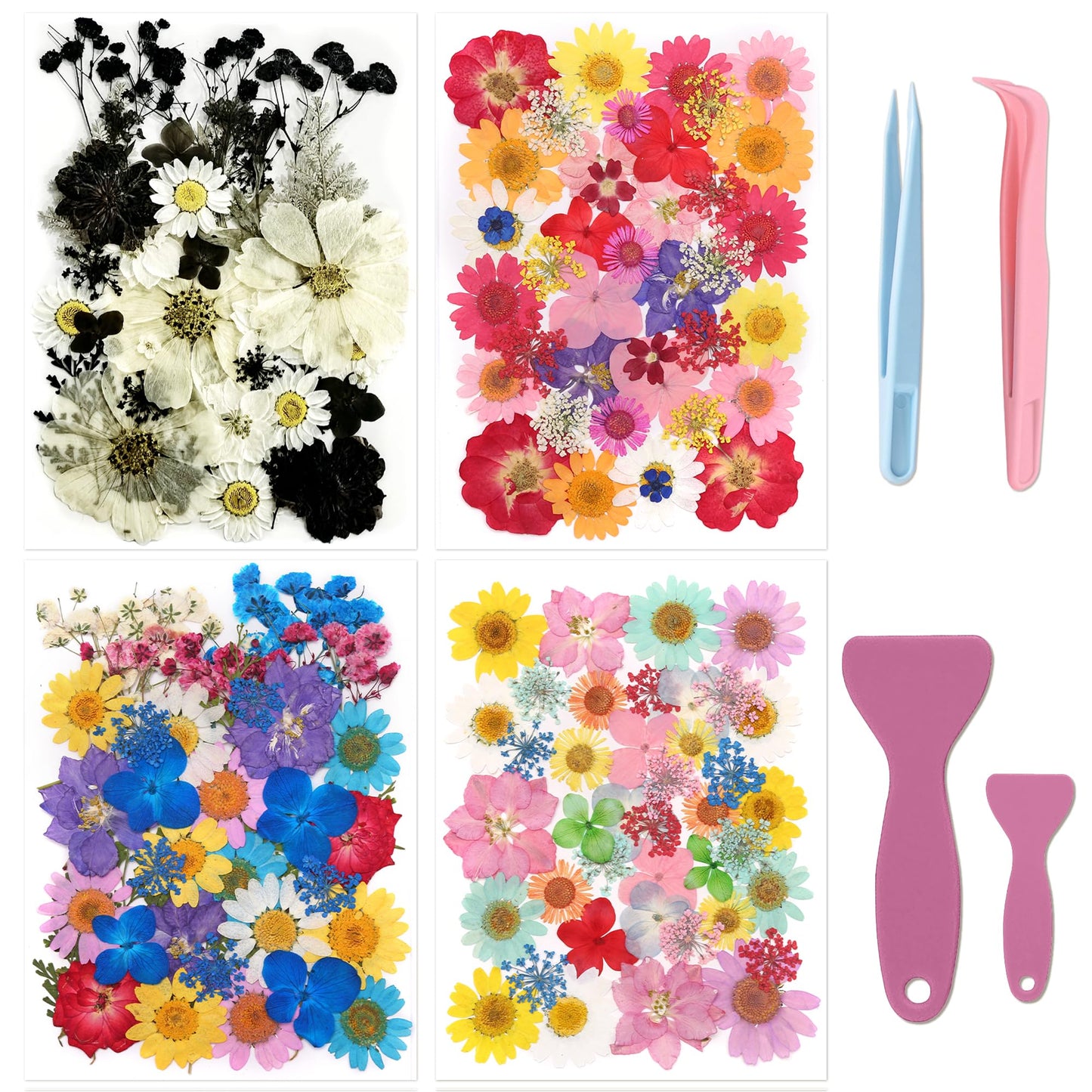 Tessera 160+ Pcs Real Pressed Flowers for Resin & Crafts - 4 Themed Dried Flower Sheets with 4-Piece DIY Tool Kit - for Resin Jewelry Making, Scrapbooking Supplies, Nail Art, Candle & DIY Gifts