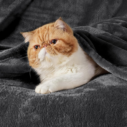 Bedsure GentleSoft Fleece Blanket - Cozy Dark Grey Twin Size 300GSM Plush Warm Throw, 60x80 Inches