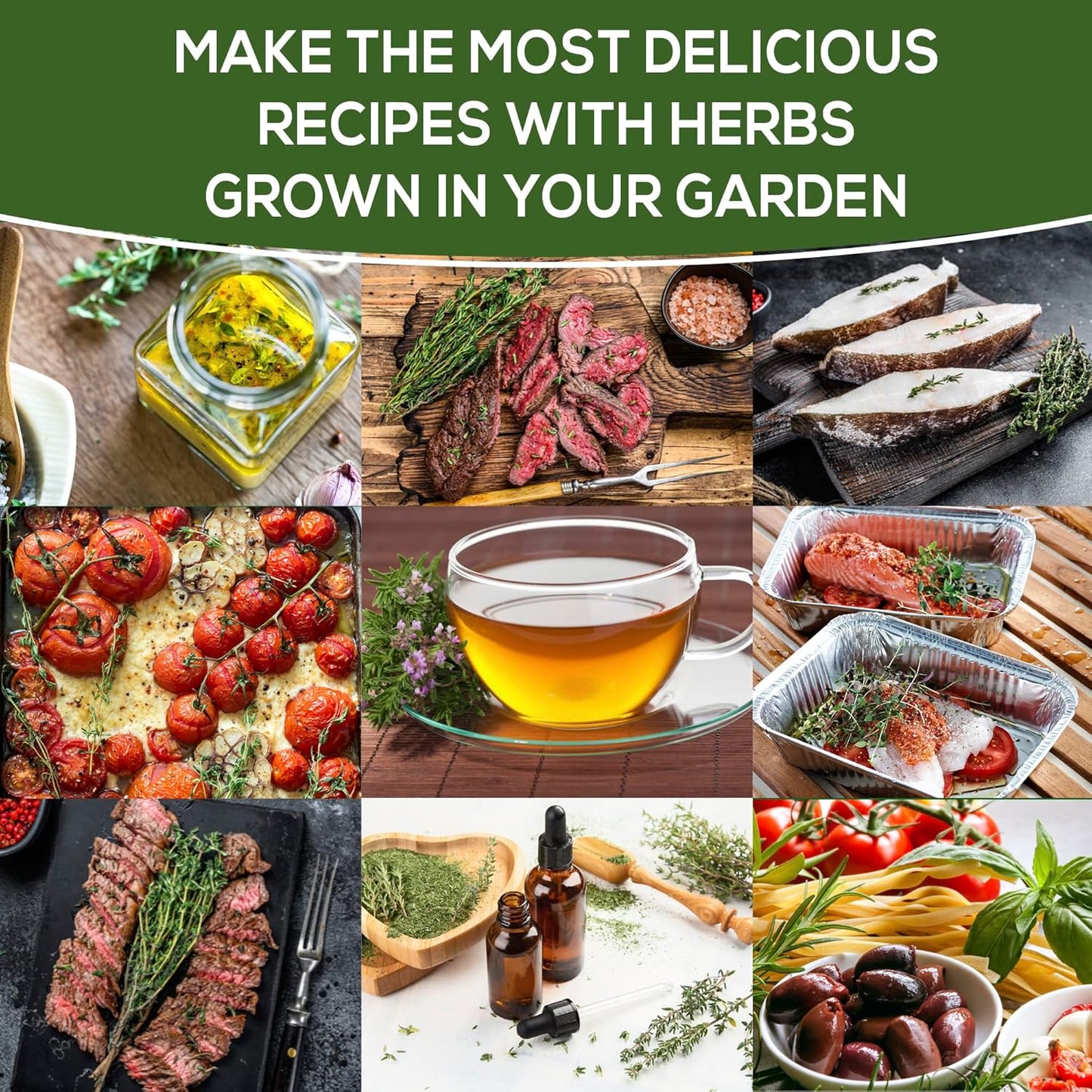 Pack 200+ Thyme Seeds for Planting Home Garden Herbs - Non-GMO, Heirloom, Untreated, and USA Grown Variety - Individual