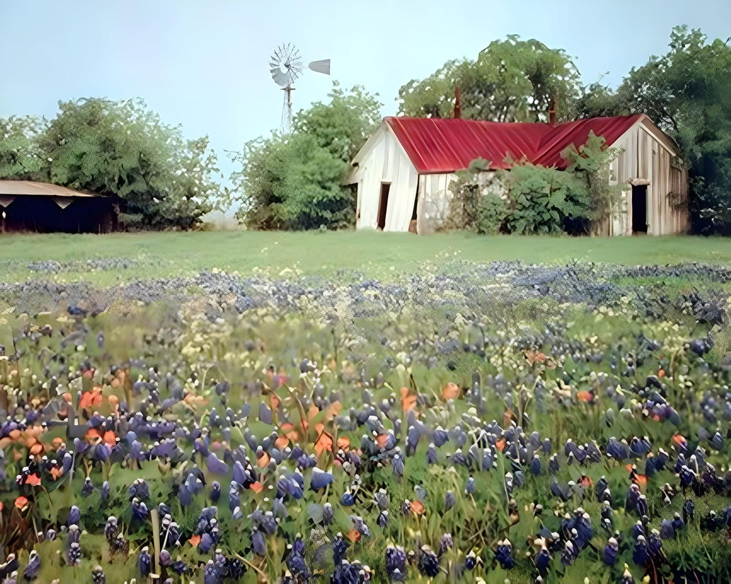 Old Barn & Flowers Field Scenery Nature Landscape Wall Decor Art Print (16x20)