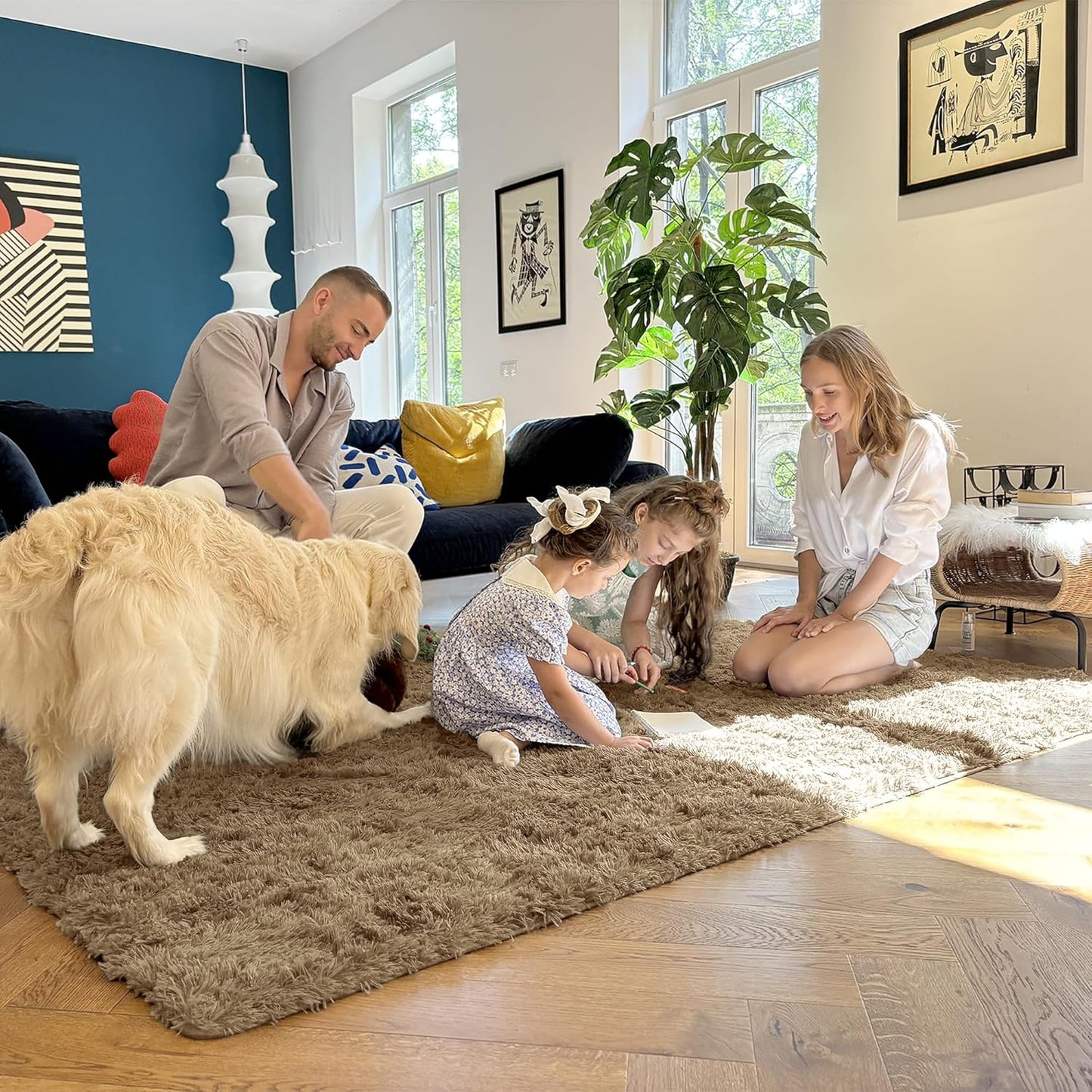 OLANLY 3x5 Soft Fluffy Shaggy Rug - Machine Washable Indoor Carpet for Living Room & Bedroom | Taupe
