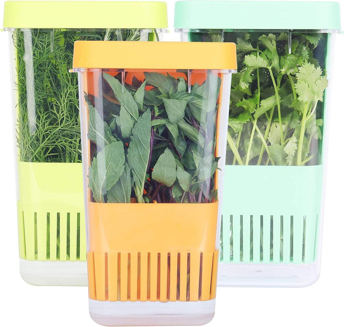 3 Pack Fresh Herb Keeper for Refrigerator, Clear BPA-Free Herb Saver, Storage Container for Cilantro, Parsley, Thyme