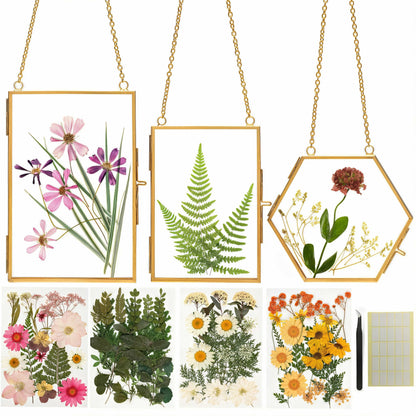 Relaxing Garden Pressed Flower Craft Kit for Adults & Women, DIY Floating Double Glass Frame Kit with Real Dried Flowers, Handmade Gift Art Project for Home Décor, Keepsake & Creative Crafts
