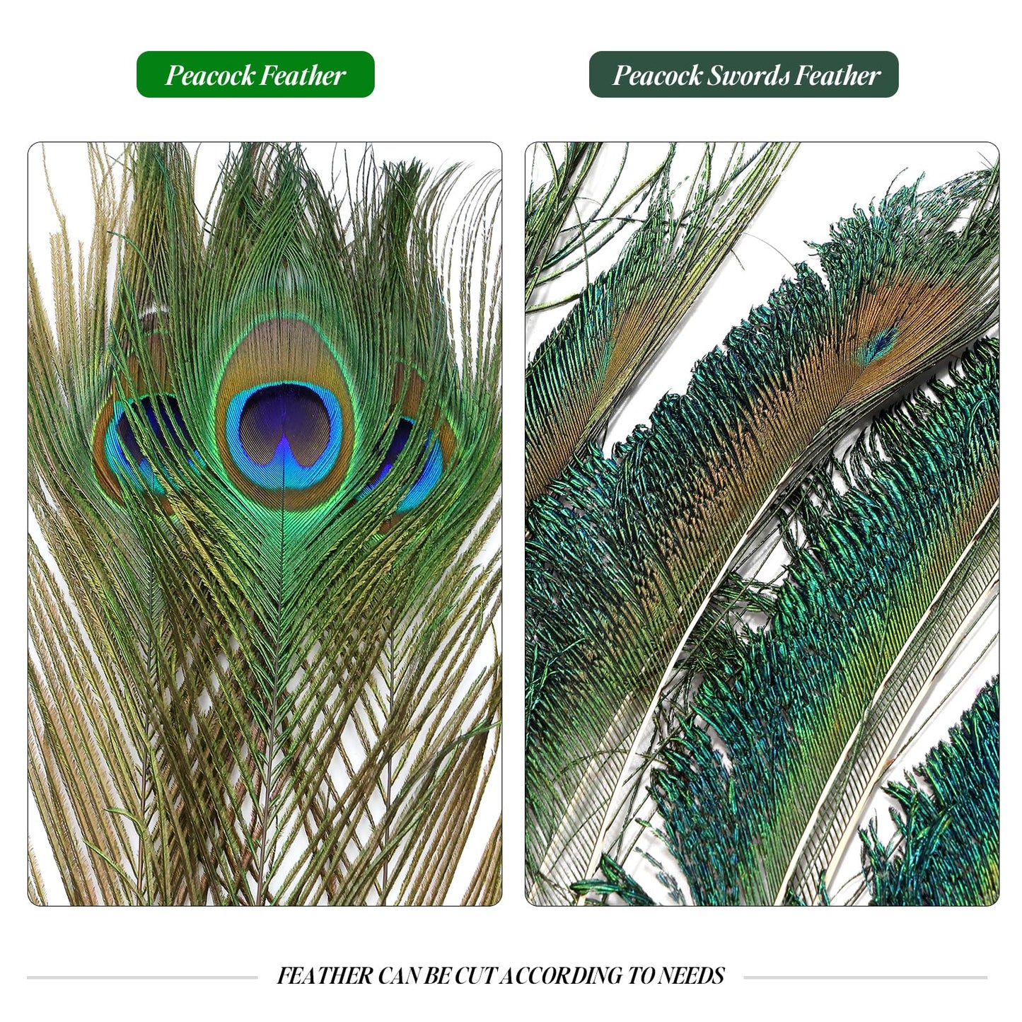 iHUFeather 20PCS Real Natural Peacock Feathers Peacock Swords 10-12 inch,for DIY Craft,Floral Arrangements,Wedding,Home and Party Decorations Feathers,Natural