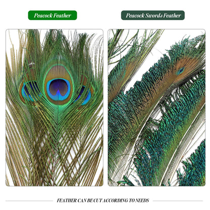 iHUFeather 20PCS Real Natural Peacock Feathers Peacock Swords 10-12 inch,for DIY Craft,Floral Arrangements,Wedding,Home and Party Decorations Feathers,Natural