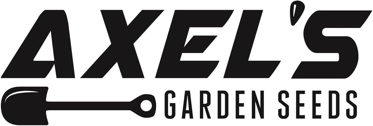 Axel's Garden Seeds 2 Packets Curled Blue Kale Seeds for Planting Plant & Grow Heirloom Non-GMO Curled Blue Vates Kale