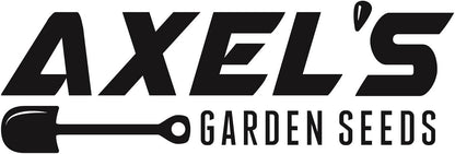 Axel's Garden Seeds 2 Packets Curled Blue Kale Seeds for Planting Plant & Grow Heirloom Non-GMO Curled Blue Vates Kale