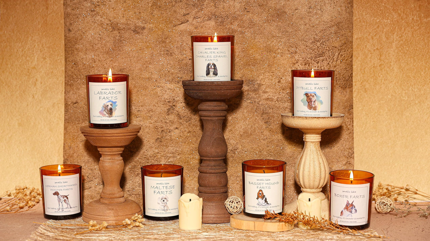 Boxer Dog Gifts & Decor, Boxer Dog Gifts for Women, Smells Like Boxer Farts Candle - Lavender & Eucalyptus, Crafted by Natural Soy Wax & Natural Essential Oils
