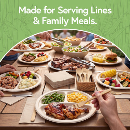 Jenvita Bamboo Paper Disposable Plates with Compartment (500-Pack, 9-inch) - Sturdy & Microwave Safe | Disposable Sectioned Plates | PFAS Free, Biodegradable | FSC Certified Alternative to Plastic