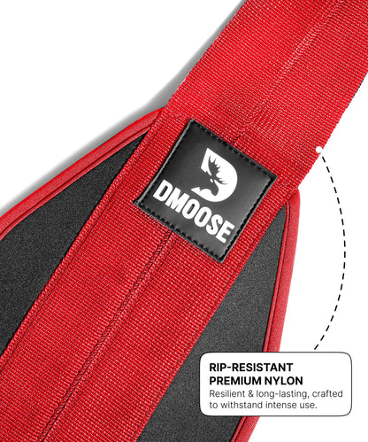 DMoose Fitness Hanging Ab Straps for Pull Up Bar & Core Strength Training - Soft Padded Exercise Straps for Ab Swing & Leg Raises, Hang Bar Strap with 2 Steel Carabiners - Abs Equipment for Home & Gym