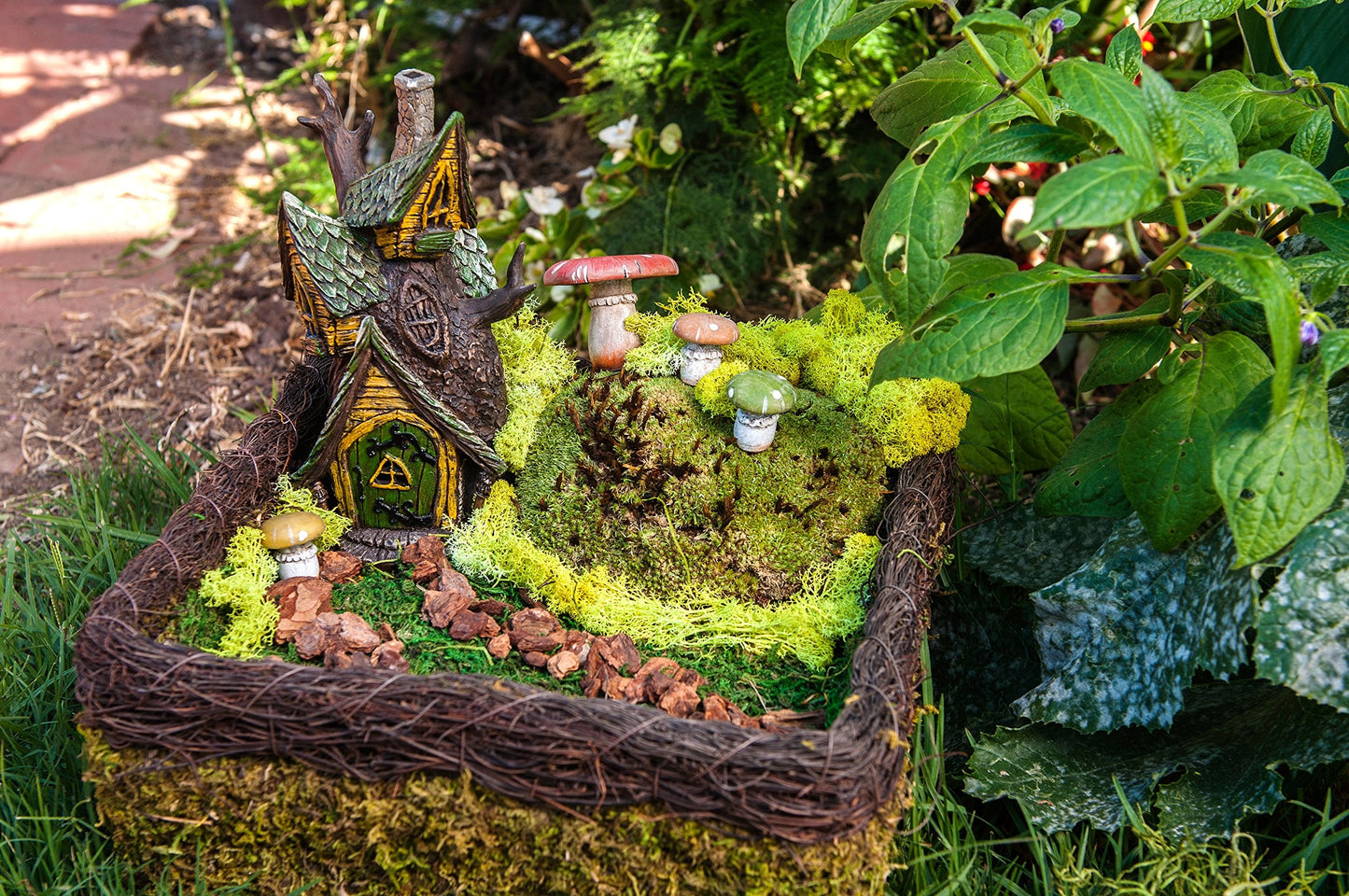 SuperMoss (50310) Fairy Garden Kit, Mixed Mosses, 4 oz., Multicolor