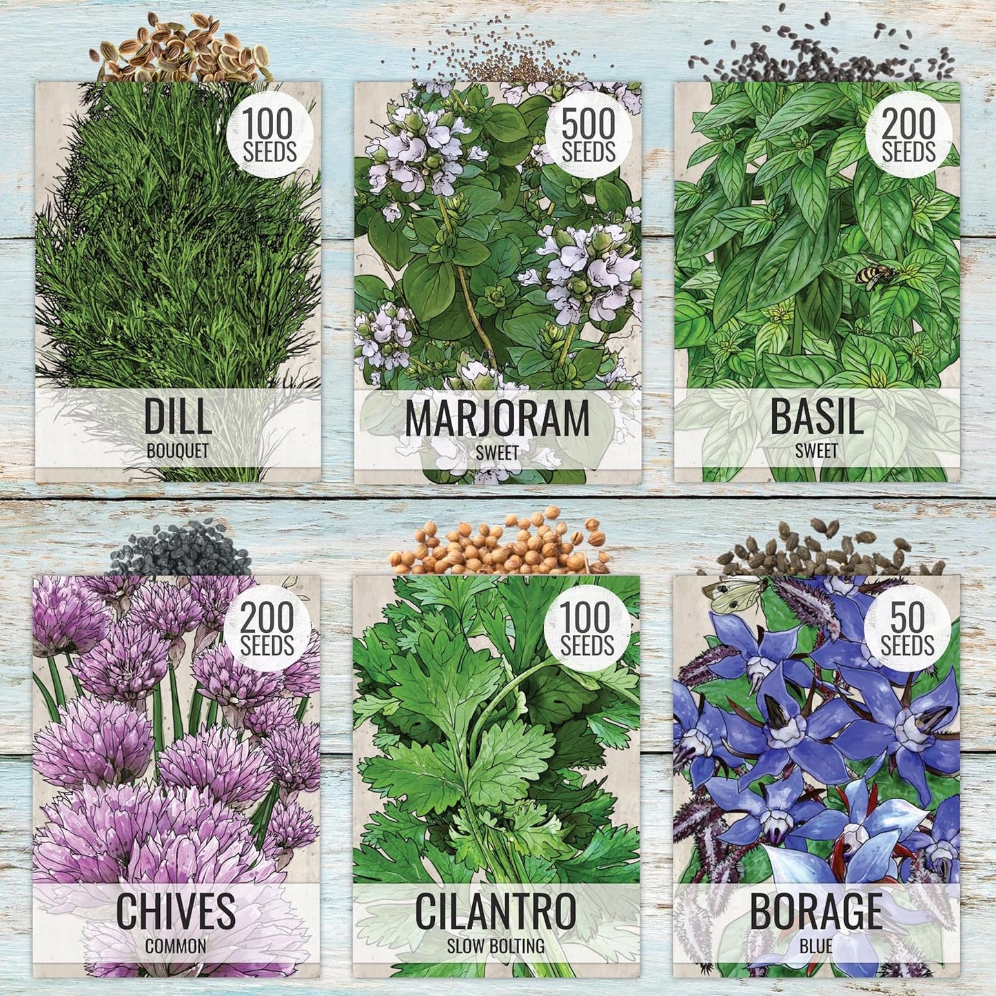 Pack (12 Packets Seed Needs Herb Seeds Variety Culinary Herb Collection Individual for Planting Indoors or Outdoors)
