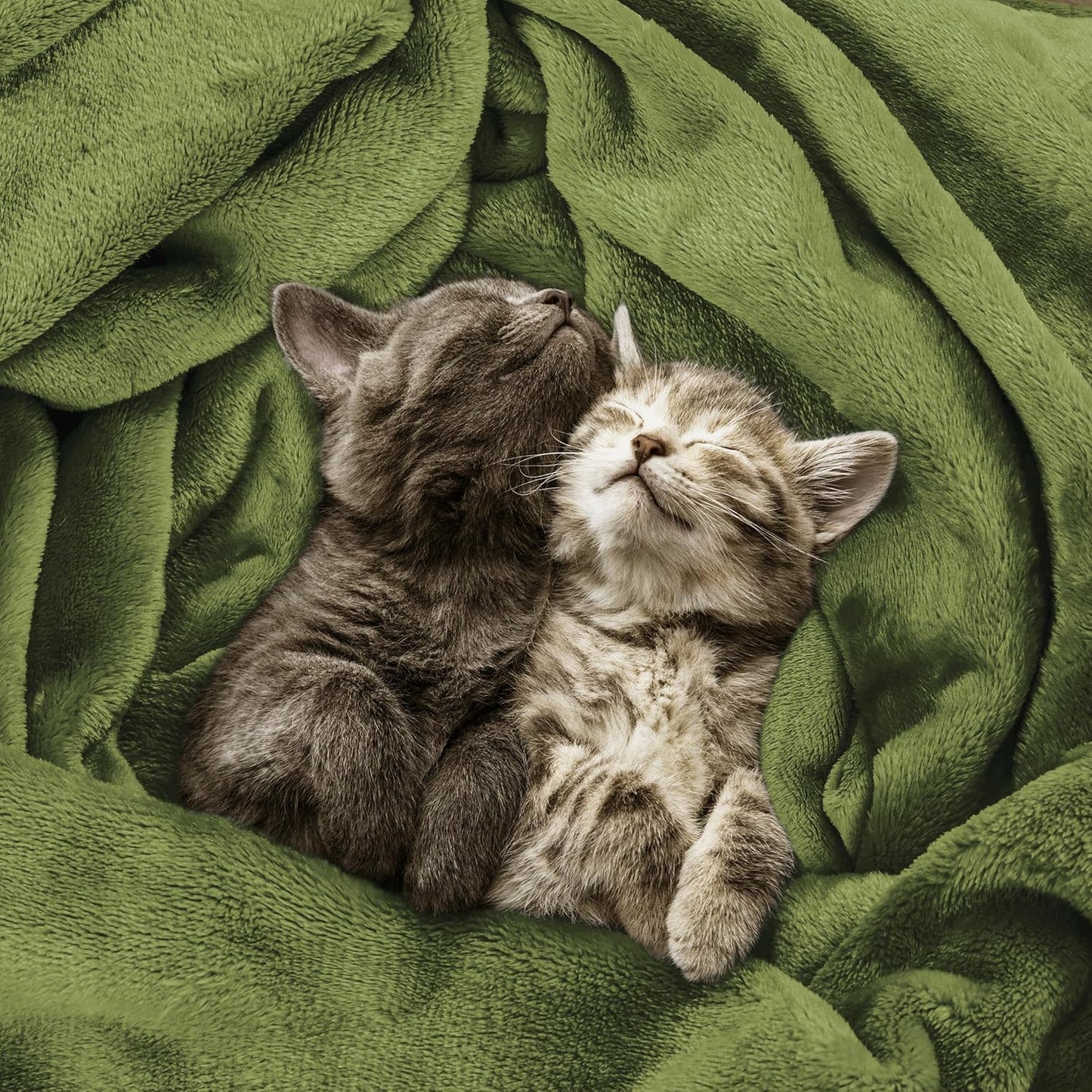 Utopia Bedding Fleece Blanket - Twin Size Olive (60x80 Inches) | Ultra Soft, Warm & Cozy All-Season Decor