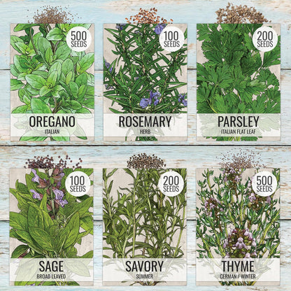Pack (12 Packets Seed Needs Herb Seeds Variety Culinary Herb Collection Individual for Planting Indoors or Outdoors)